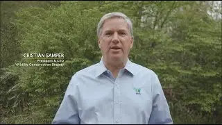 Cristi&aacute;n Samper, President & CEO Wildlife Conservation Society