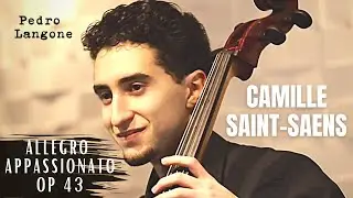 Allegro Appassionato 🎜 Cello Suzuki - Camille Saint Saens