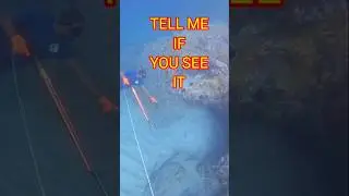 ONLY THE BEST EYES CAN SEE THIS