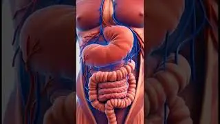 Cyra-D Capsule Kya Hai? | Pet Ki Jalan, Gas, Nausea Ka Ilaj | Hindi Medical Animation