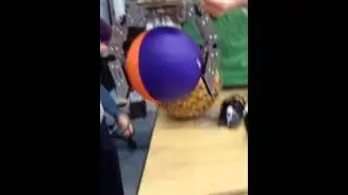 Hexapus Preliminary Test