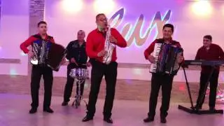 Predrag Janković Peda - Zavrzlama (Official) HD 2017