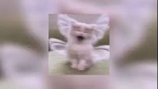 винкс — если решишь можешь ты стать одной из нас(speed up)
