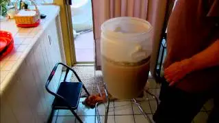 Katie's Razzberry Wheat