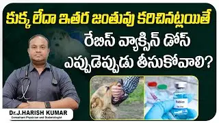 When to take Rabies Vaccine || Rabies Vaccine Dose and Schedule Telugu || Treatment Range