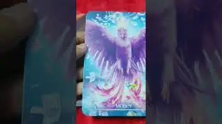 Your Phoenix💫Your Power✨Your manifestation🌟#timeless#tarotreading#money#victory@soulfuljourney333