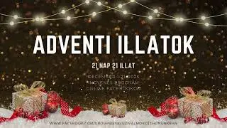 21nap21 illat #illoolaj#holisztikus #natural #advent #kar&aacute;csony #egeszsegeseletmod #aloevera #l&eacute;lek