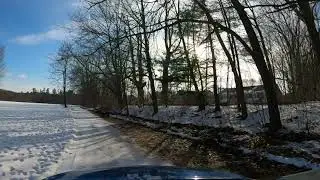Shadow running in the tree line