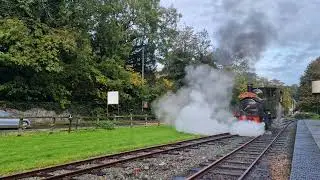 No.1 'The Earl' (822) at Welshpool Station 30/10/2023