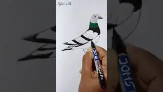 How to draw a pigeon 🐦 | for kids | easy drawing | #drawing #ytshorts #pigeon #art #easy