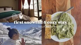 Coziest Stay in Sissu❄️ | my First Snowfall☃️