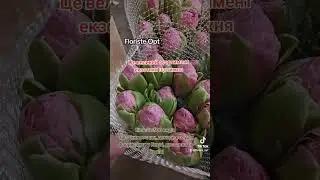 Допомагаємо з відкриттям квіткового бізнесу, консультуємо. Допомагаємо заробляти у квітковому бізнес