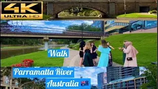 [ 4 K ] Parramatta River Walk, Park in Parramatta, New South Wales, Australia 🇦🇺 #sydney #aussie