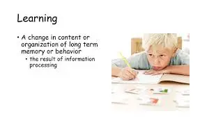 Consumer Behavior: learning, memory and product positioning part 1