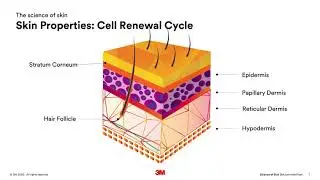 Science of Skin: Factors Impacting Adhesion to Skin