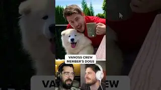 Vanoss Crew Member&rsquo;s Dogs 🐶😋