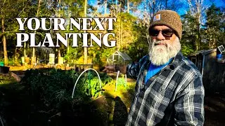 You NEED to know what to plant next