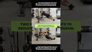 2 Best Exercises to Relieve Lower Back Tension #physicaltherapy #prehab #mobility #backpain
