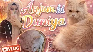 Aaj Ka Din 💛Simple Cooking My Beautiful Cat |  Daily Vlog 