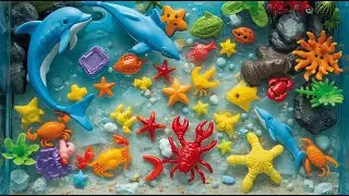 100 крутых обитателей океана | Морские животные для детей | Учим названия, факты и звуки