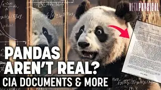 Pandas Aren’t Real