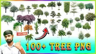 100+ 𝐓𝐑𝐄𝐄 𝐏𝐍𝐆 File Free Download || Free 𝐓𝐑𝐄𝐄 𝐏𝐍𝐆 Pack Download For Editing 2024