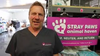 Joe Federico - Stray Paws Animal Haven - TNR