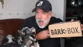 ОБЗОР BARKBOX ЯНВАРЬ 2020 ГОДА | Я ПОЛУЧИЛ НЕПРАВИЛЬНУЮ КОРОБКУ!