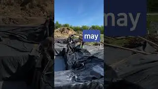 Natural Swimming Pond Summer Project