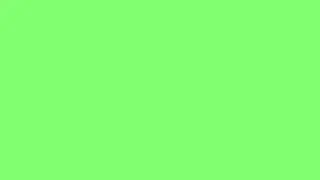 4K Light Green screen 1 hour