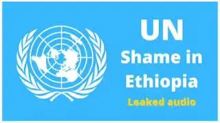 #UNEthiopia, IOM Ethiopia coordinators leaked audio recording