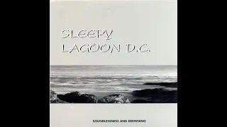 Sleepy Lagoon D.C. - Statement
