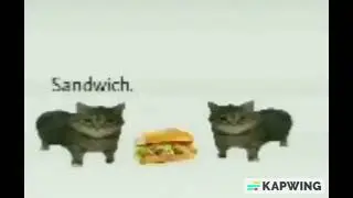 sandwich