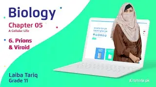 Biology Class 11 | Chapter 5 | Topic 6 | Prions and Viroid | in urdu | tutoria.pk