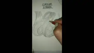 Types of strokes- Part-1 (Circular Strokes)