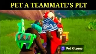 PET A TEAMMATE'S PET - Fortnite TEAM SPIRIT CHALLENGES EASY GUIDE! (SEASON X)