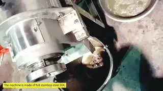 Professional ginger apple juicer fruit orange grape juice machine juice extractor