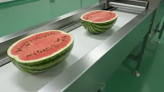 Ever wondered how 500,000 bottles of fresh Watermelon Juice are made EVERY SINGLE DAY? 🍉🧃