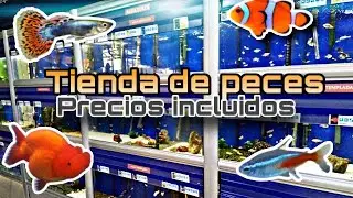 TIENDA DE PECES con todo y PRECIOS INCLUIDOS | ACUARIOS CONDAL BARCELONA