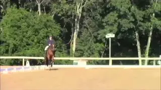 analysis of an Intermediate 1 dressage test