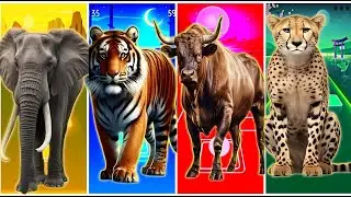 Tiles Hop - Elephant 🆚 Tiger 🆚 Buffalo 🆚 Cheetah 🎶 Tiles Hop EDM Rush