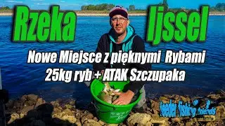 #Wędkarstwo 2020 Gruntowe #005 ** Rzeka Ijssel NL & Wyprawa z Łukaszem + Piękny Atak Szczupaka