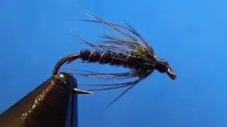 Pheasant Tail Wet Fly