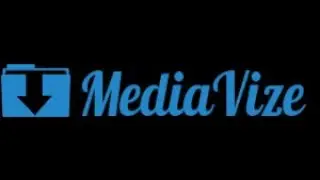 Best Tampa SEO Experts | Mediavize.com