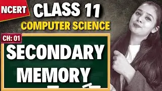 Secondary Memory | Class 11 Computer Science | CBSE