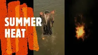 Summer Heat! & The Big 1 That Got Away!!! #fishing #trout #redfish #saltwaterfishing #fish