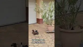 Vigibot robots aren&lsquo;t just toys - but we have some fun with them 🙃