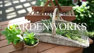 Pressing Flowers & Drying Herbs | GARDENWORKS Canada