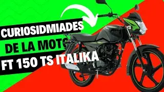 Mi experiencia con la FT 150 TS &iquest;VALE LA PENA?