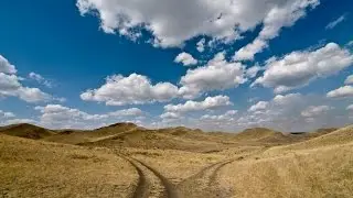 What's Next for IPBES in 2017?